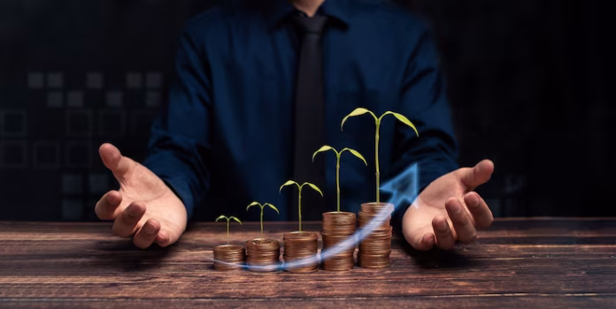 pedrovazpaulo wealth investment